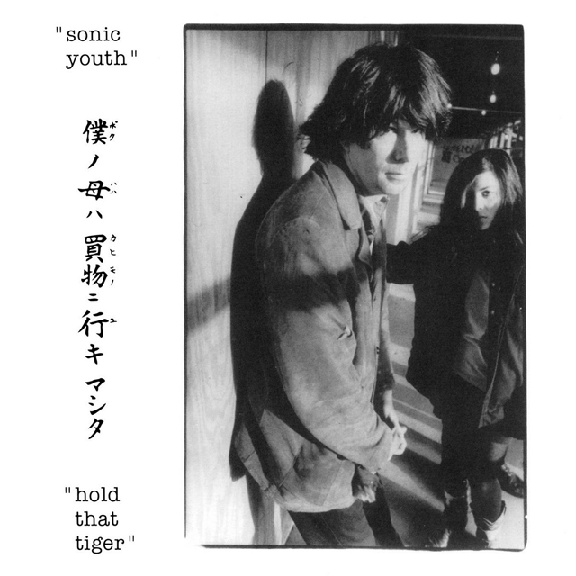 Sonic Youth / Hold That Tiger (Live At Cabaret Metro 1987)