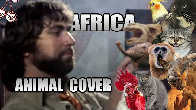 Insane Cherry - Toto - Africa (Animal Cover)