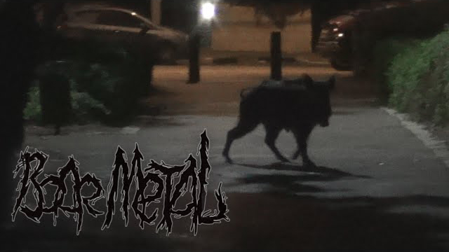 Valentin The Mad / Boar Metal