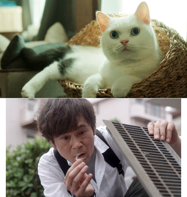 NHK『猫探偵の事件簿3』(c)NHK