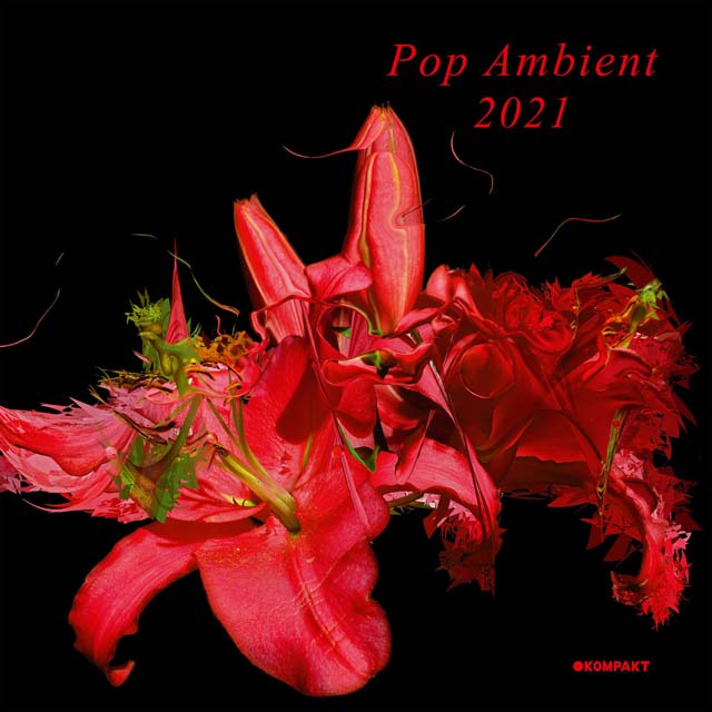 VA / Pop Ambient 2021