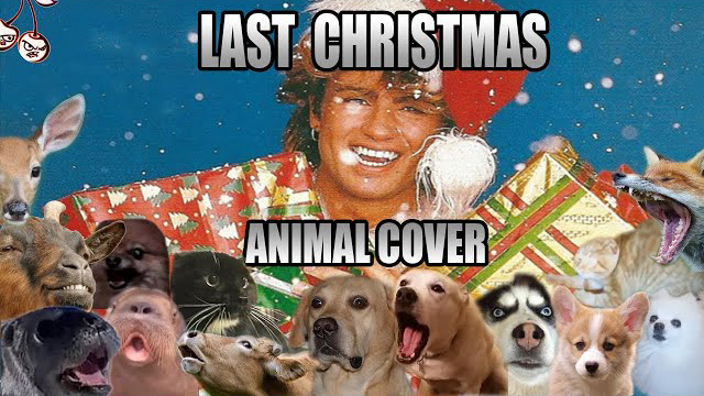 Wham! - Last Christmas (Animal Cover)