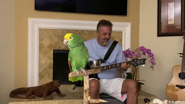 Tico the Parrot and Frank Maglio, via YouTube