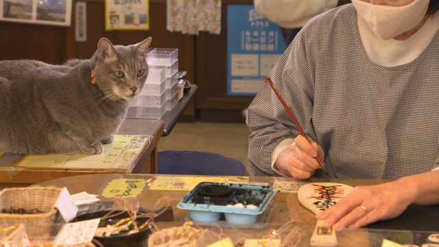 NHK『岩合光昭の世界ネコ歩き「安芸・広島」』