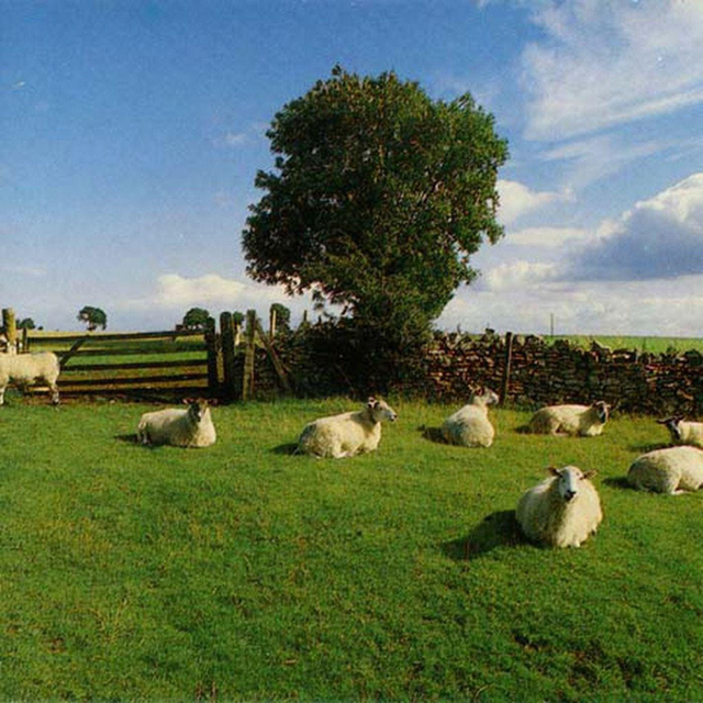 The KLF / Chill Out