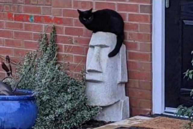 Moai + Black cat = Rockabilly