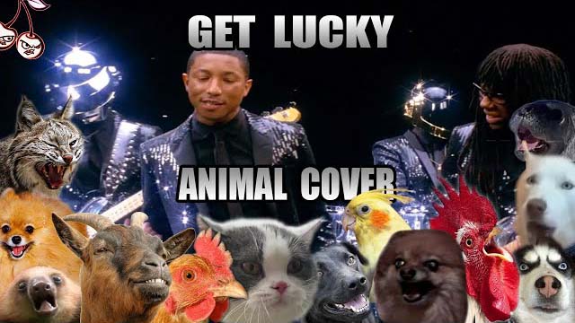 Daft Punk ft. Pharrell Williams, Nile Rodgers - Get Lucky (Animal Cover)