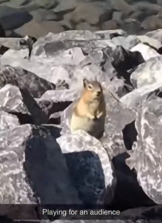 Playing for an audience