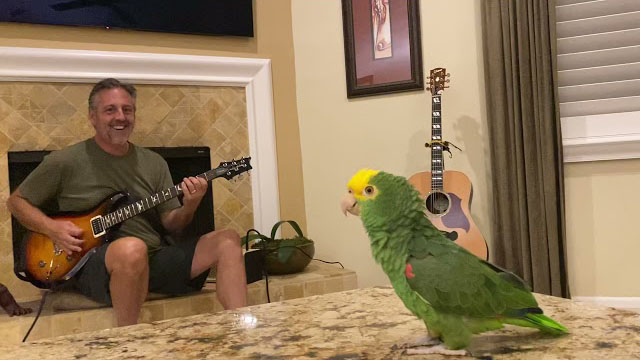 Tico the Parrot and Frank Maglio / Whole lotta Rosie
