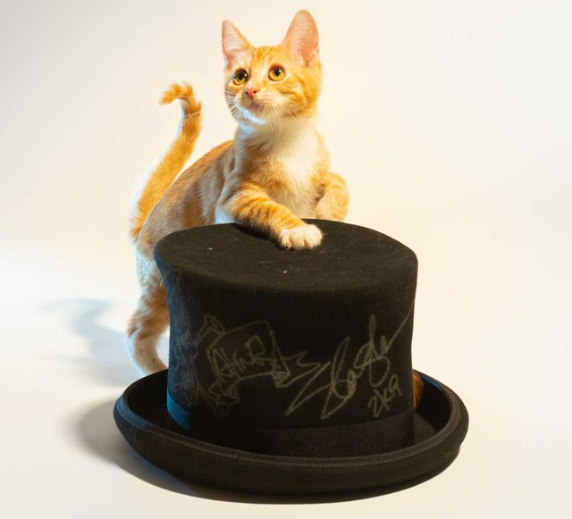 Autographed Slash Top Hat - Donated By Slash
