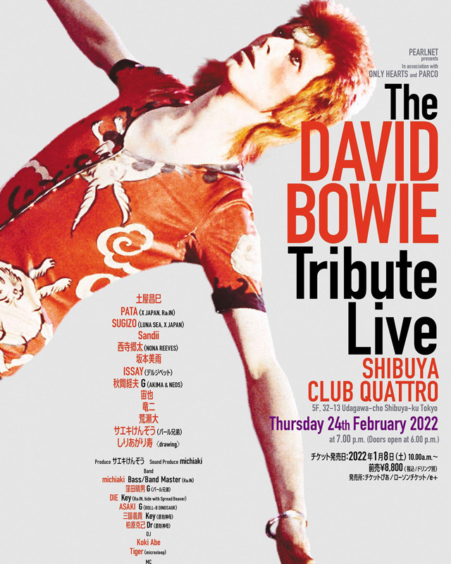 The DAVID BOWIE Tribute Live