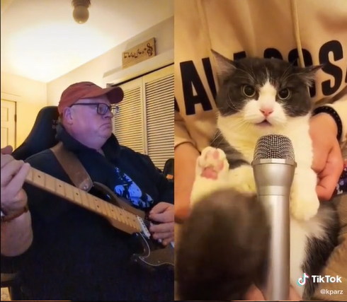 kparz duet with cat