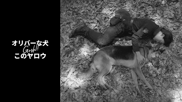 NHK『オリバーな犬、(Gosh!!)このヤロウ』 シーズン２(c)NHK