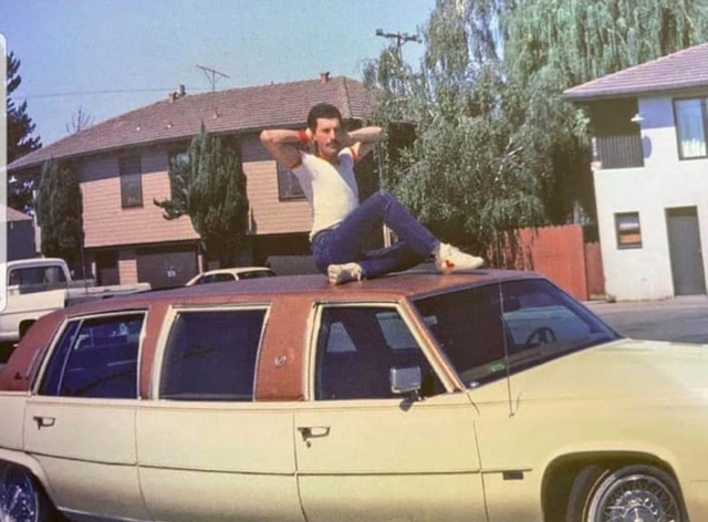 Freddie Mercury Posing on the Roof of His Limousine, ca. 1984