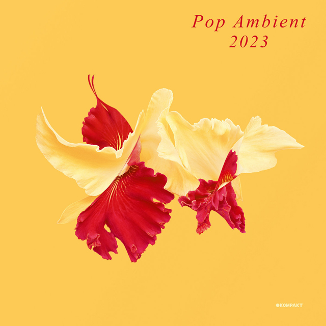 VA / Pop Ambient 2023