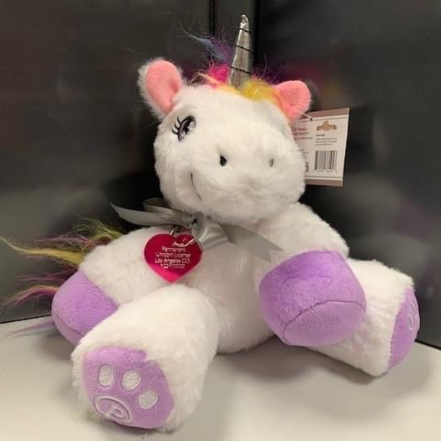 A girl asked if she could keep a unicorn in her yard. LA county gave her a license