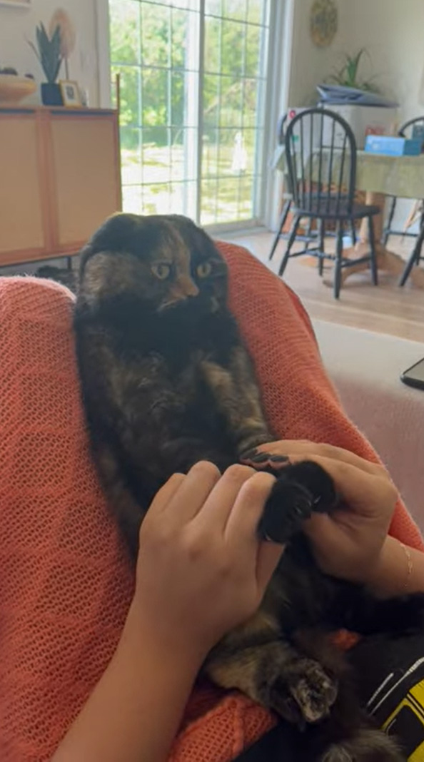 Cat Begrudgingly Participates in Sing Along