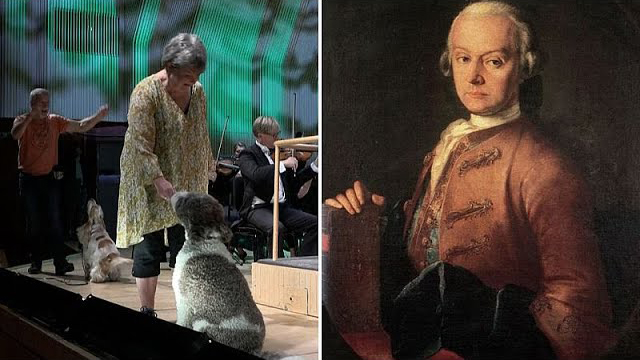 Dogs perform Mozart with orchestra in Denmark
