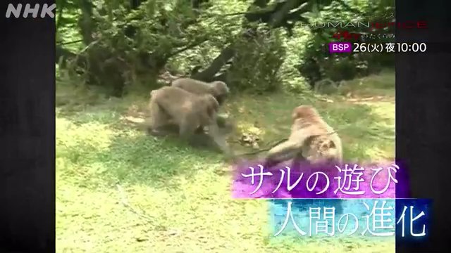 NHK『ヒューマニエンス「“遊び”　それは人類の可能性の宝庫」』(c)NHK