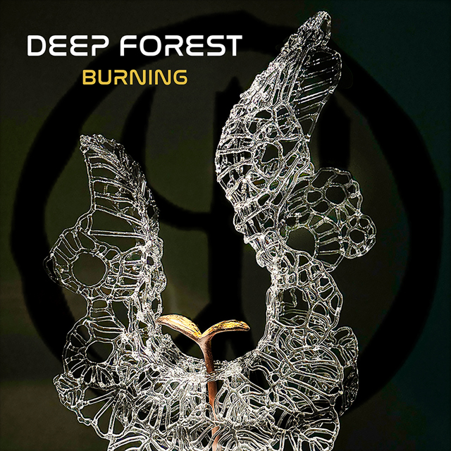 Deep Forest / Burning
