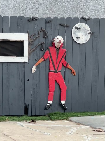 Dog’s Head Popping Out of a Michael Jackson-Themed Fence Hole