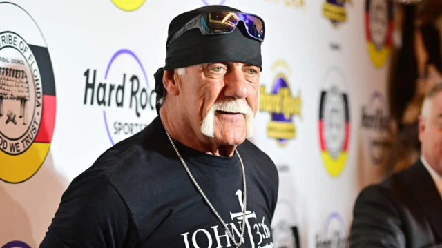 Hulk Hogan - Getty Images