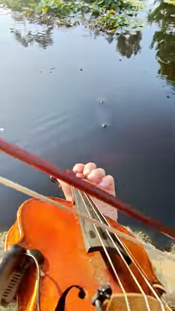 Violin Player Summons Turtles With Club Hit