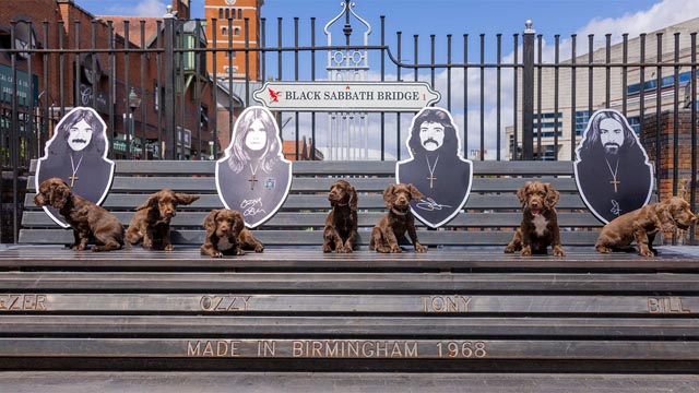 The seven Sprocker puppies named after Black Sabbath (c)West Midlands Police