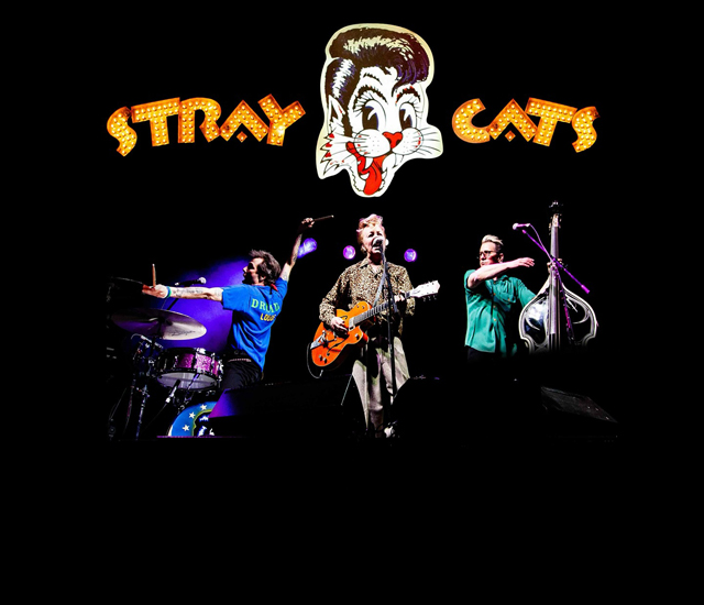 Stray Cats