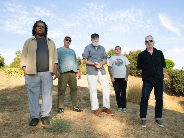 Tortoise, photo by Heather Cantrell