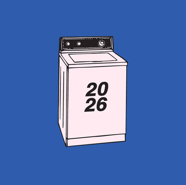 Sonic Youth‘Washing Machine’30th anniversary -  tease 2026 news ?