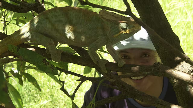 NHK『進化の箱舟　マダガスカル　渡辺貞夫』(c)NHK