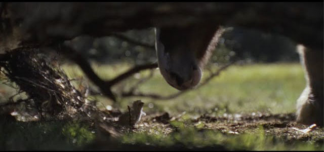 Budweiser | Super Bowl LX Commercial 'American Icons'